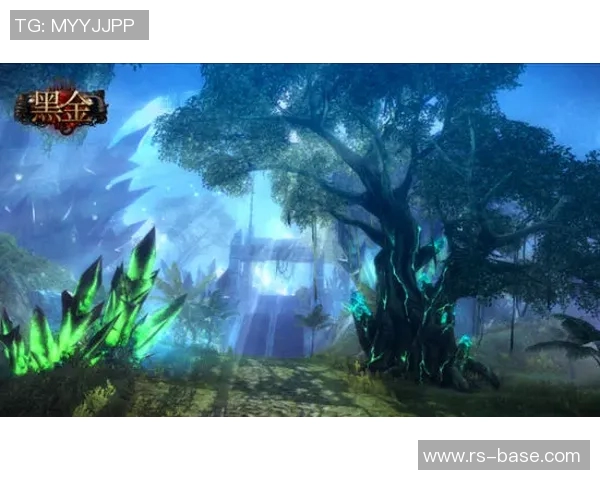 飘逸杯：探寻魔法之源